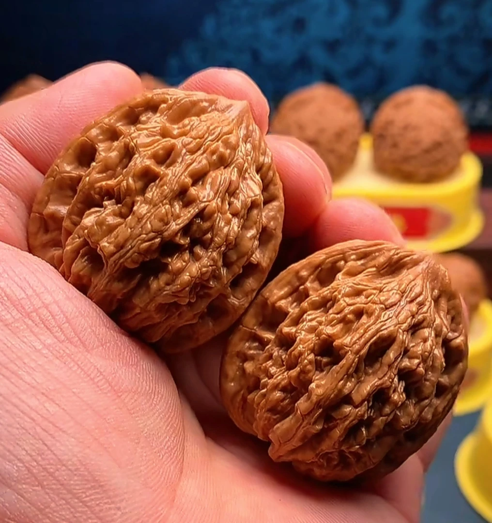 涞水精品麻核桃38麦穗虎头