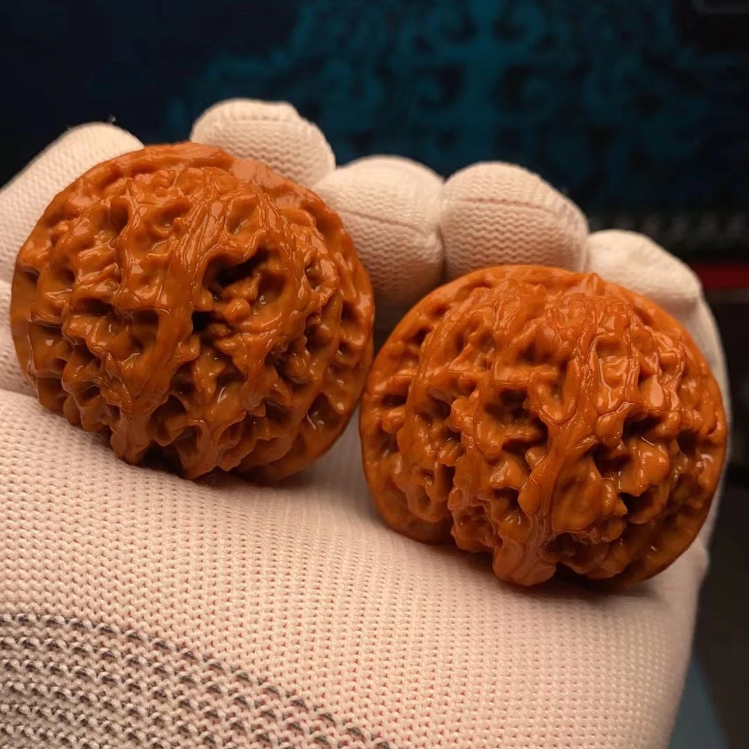 涞水精品麻核桃45苹果园