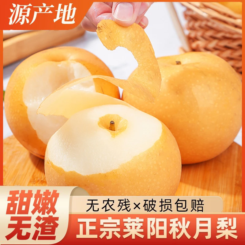正宗冰糖秋月梨直发5斤整箱山东烟台莱阳秋月冰糖梨香酥脆梨