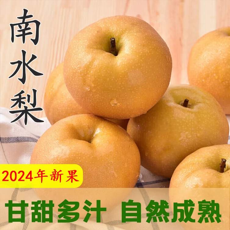 【2024新果】山东莱阳南水梨5斤带箱特产水果莱阳梨脆甜多汁精选果