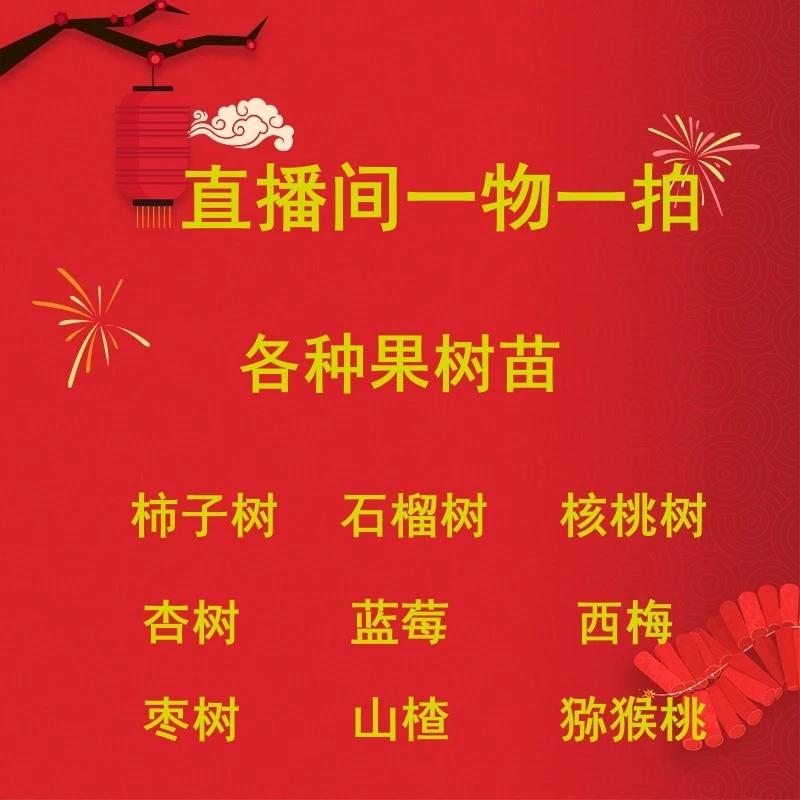 直播间一物一拍柿子树大果结果石榴树山楂树蓝莓树各种果树苗