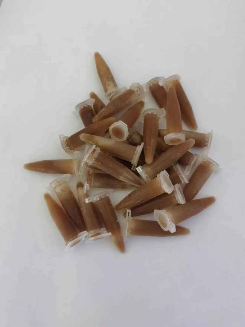 包邮冷冻海水微虫轮虫游仆虫太阳黄金虫液体珊瑚粮浮游生物大洋雪