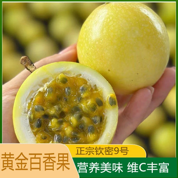 钦州钦密9号黄金百香果精品新鲜特产产地直发黄心一整箱特产