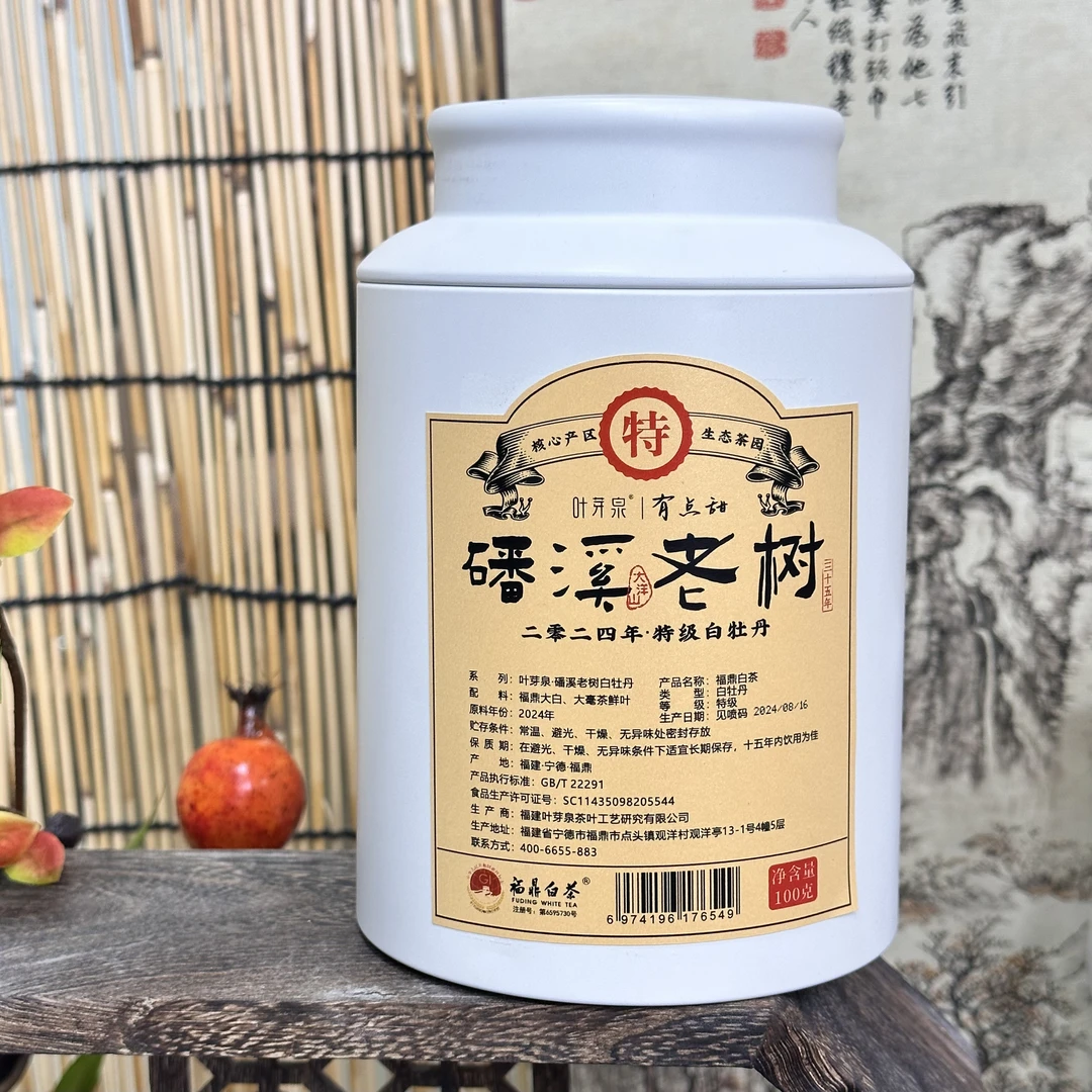 叶芽泉磻溪老树特级白牡丹2024年春茶