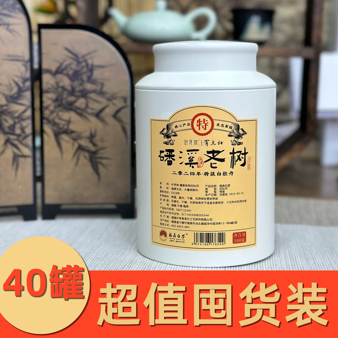 【整件拍/40罐】叶芽泉磻溪老树特级白牡丹2024年春茶共4000g
