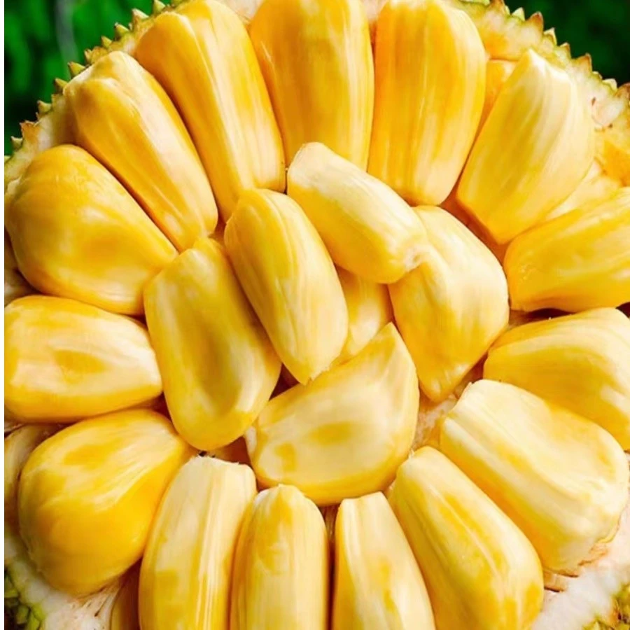 红肉菠萝蜜肉脆甜可口（500克）