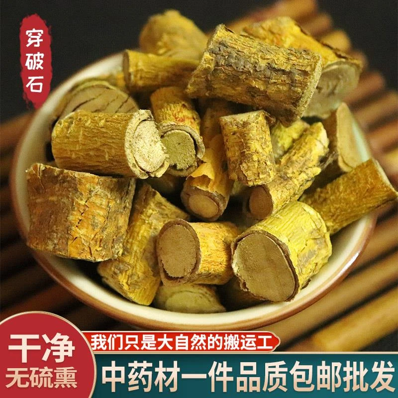 穿破石广西野生中药材克川破石根部地棉根九层皮石柘根可磨粉
