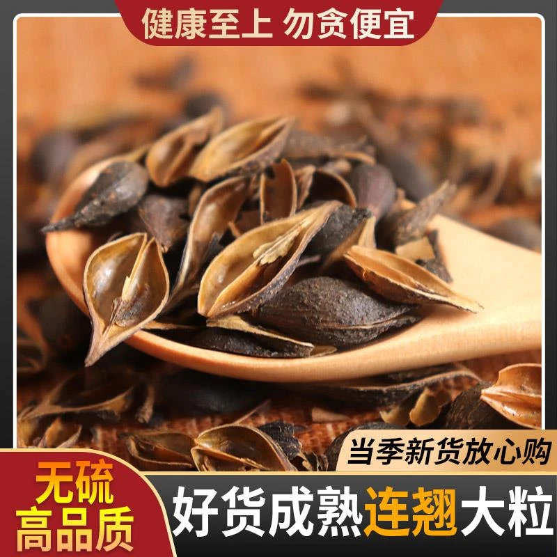 连翘中药材贯叶连翘正品连翘叶茶青翘黄翘老翘连翘粉另售芦根