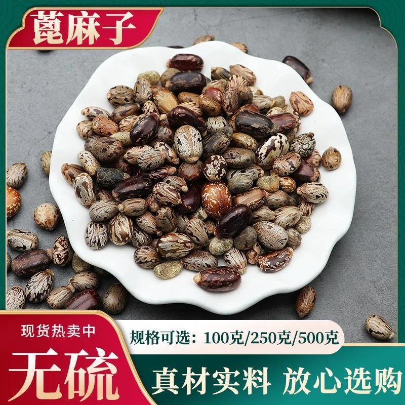 新货野生蓖麻子蓖麻籽克包邮红大麻子中药材蓖麻仁蓖麻包邮