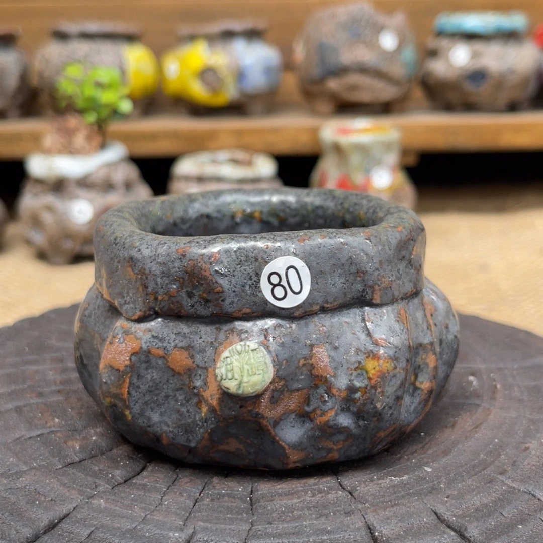 红陶20CM以下5.5-5