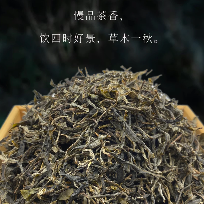 【新人品鉴】2023年临沧勐库东半山藤条古树混采 普洱生茶 晒青毛茶