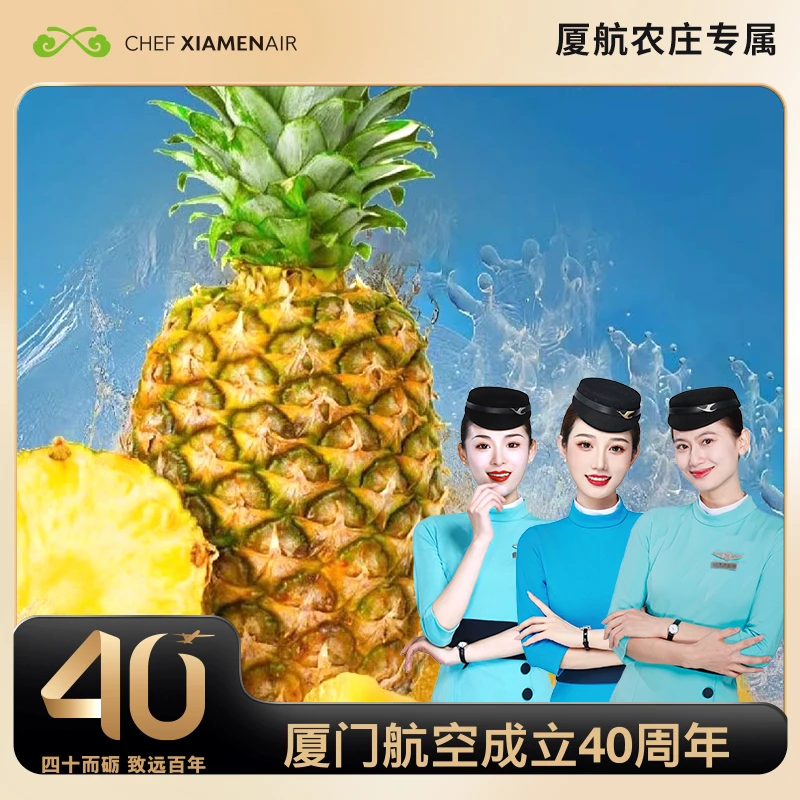 云南高山土凤梨（厦航40周年“旺来”）大果大果冷藏空运云南芒市