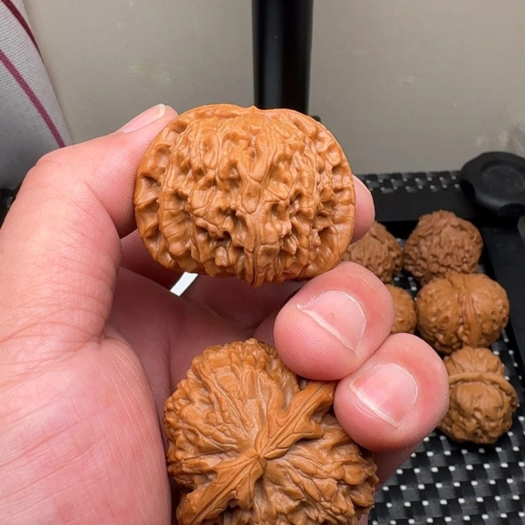 文玩核桃把件44尺白狮子