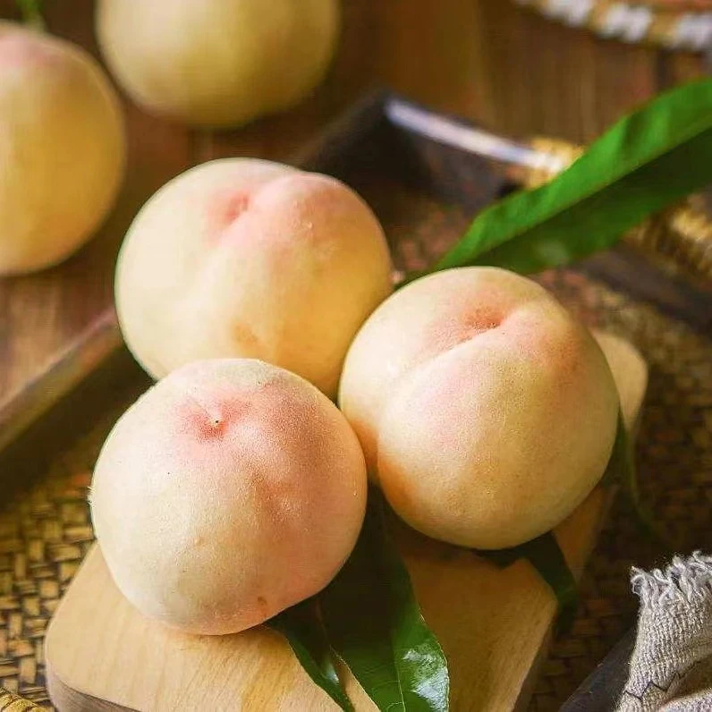 烟台山地水蜜桃 现摘现发 需要催熟1-3天放软吃 5斤(约9颗) 京东