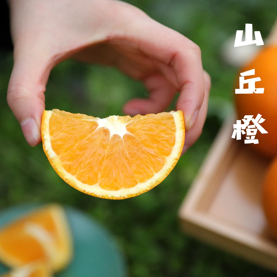 冬季招牌 赣南脐橙 生态种植 酸甜味浓 香味很赞！5斤起  京东快递