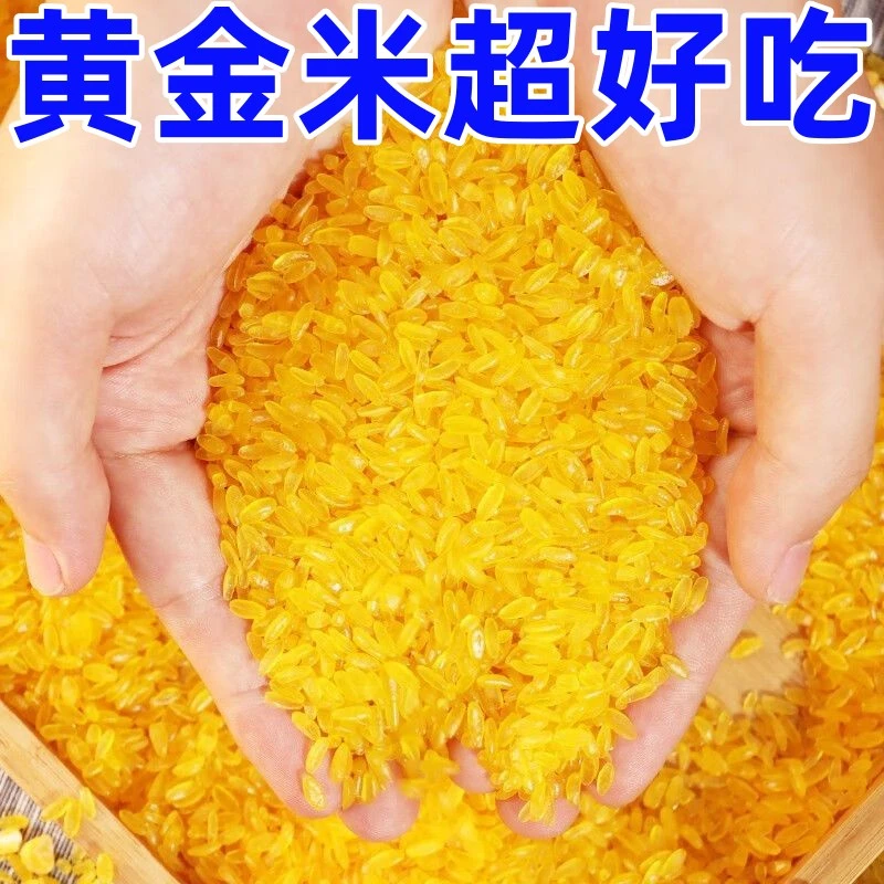 新货黄金米玉米杂粮合成米3斤装营养五谷杂粮米粗粮 特产黄色大米
