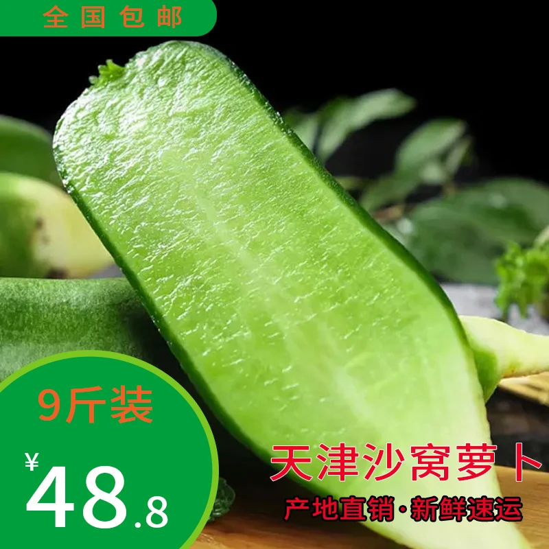 天津金玉家沙窝水果萝卜多汁爽口拍8斤发9斤农产品