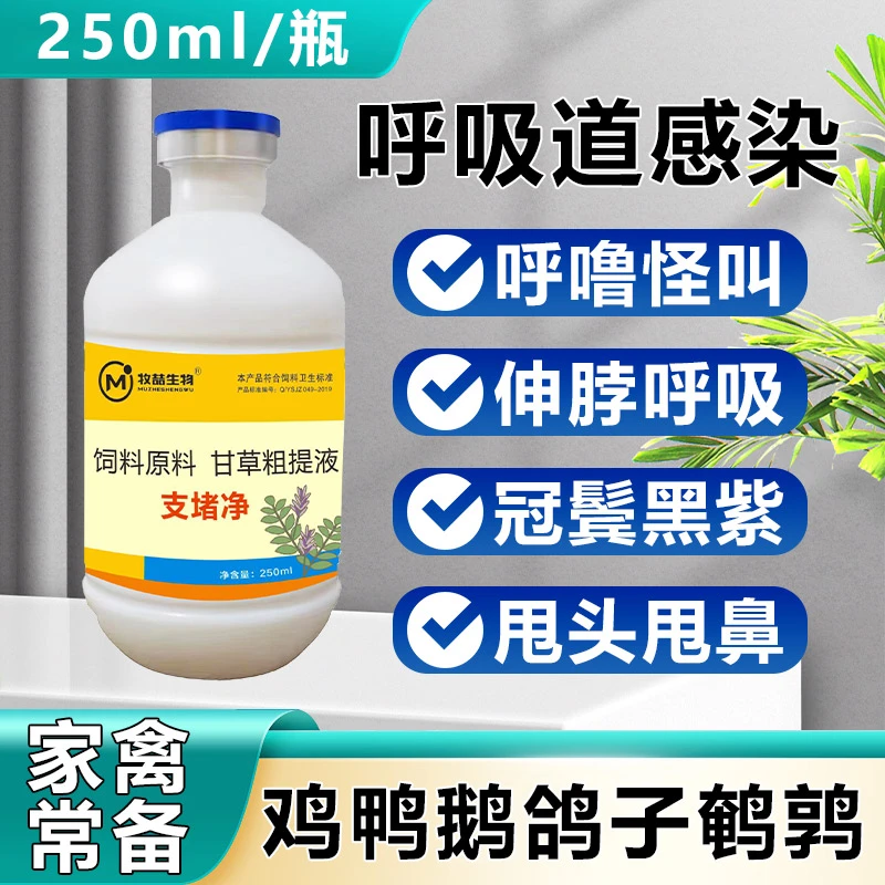 支堵净养殖场鸡鸭鹅甘草粗提液家禽呼吸道咳喘问题养殖家禽鸡鸭鹅