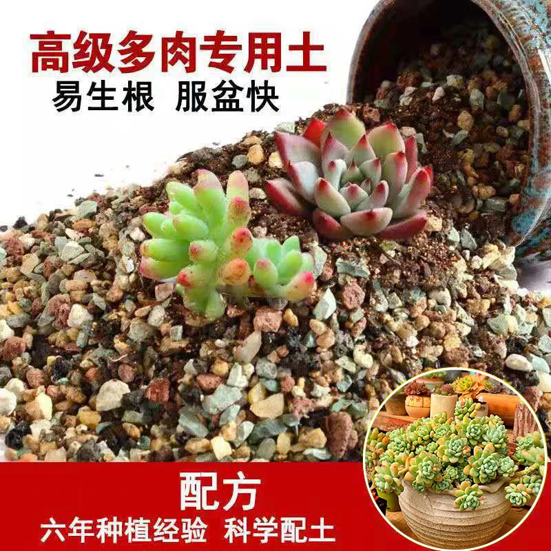 多肉土专用营养土颗粒土大包透气种植土铺面石进口泥炭纯颗粒包邮