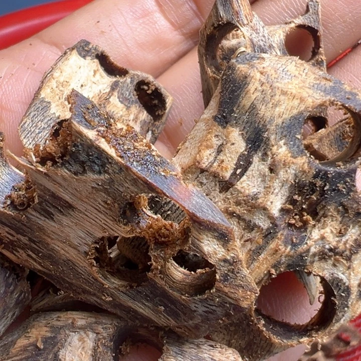 沉香棋楠流油车珠料多样性发100克