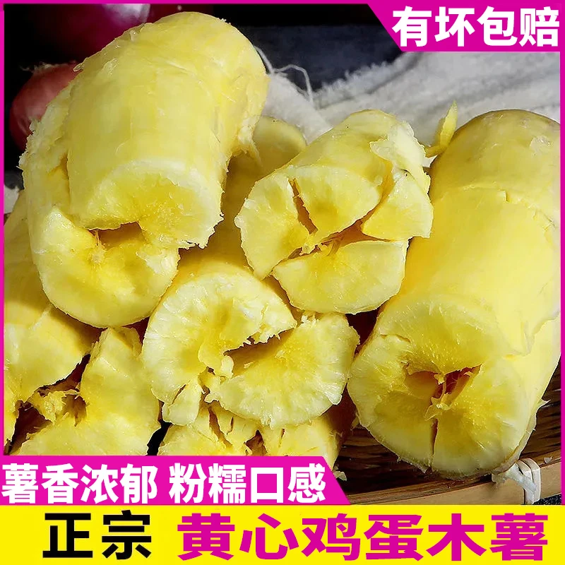 广西黄肉木薯新鲜现挖 剥皮黄心木薯面包木薯糯米木薯1-9斤包邮