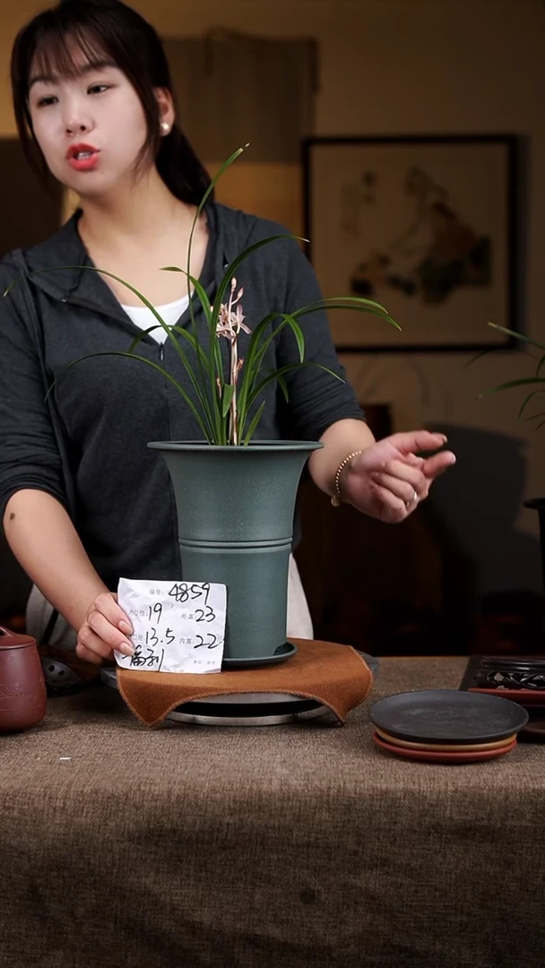 【闪购商品】紫砂花盆紫砂花盆4859+z