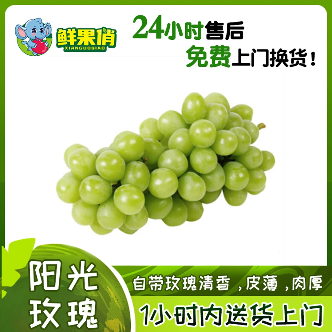 阳光玫瑰葡萄