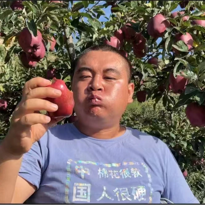 甘肃天水花牛苹果国产蛇果净重9顺丰包邮尝鲜