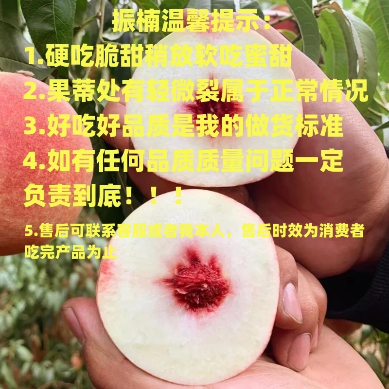 【振楠 京东快递】精选好品质山东金秋红蜜晚桃