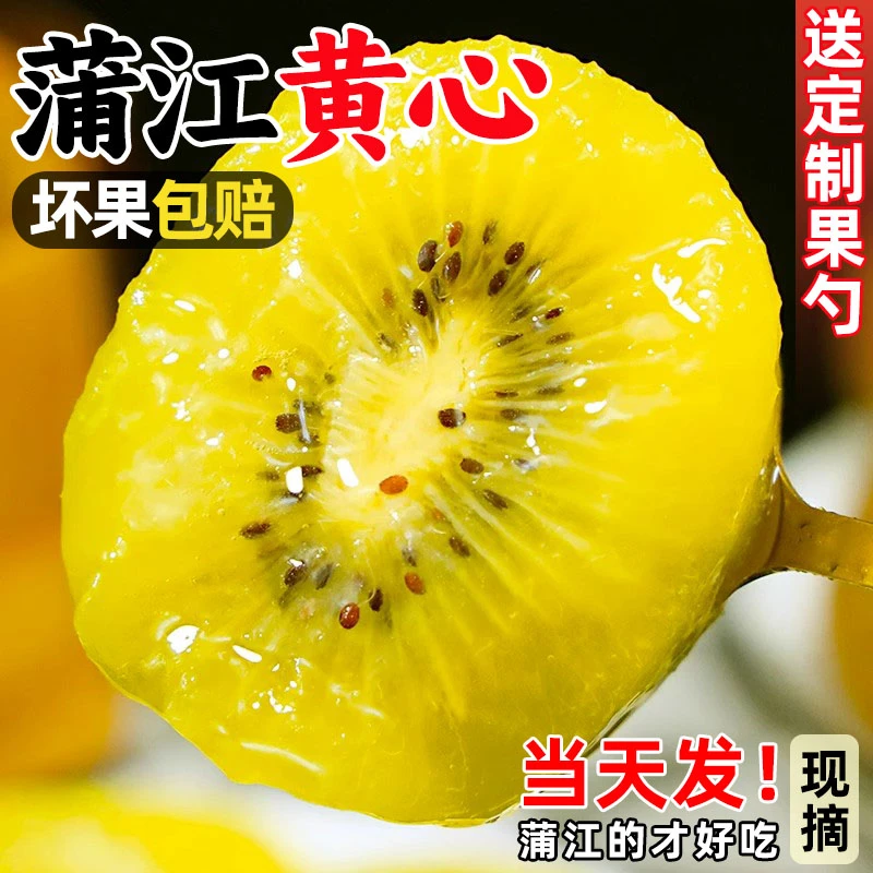 泰佳奇限量5斤果王四川黄心猕猴桃奇异果新鲜水果单果130-180g/个