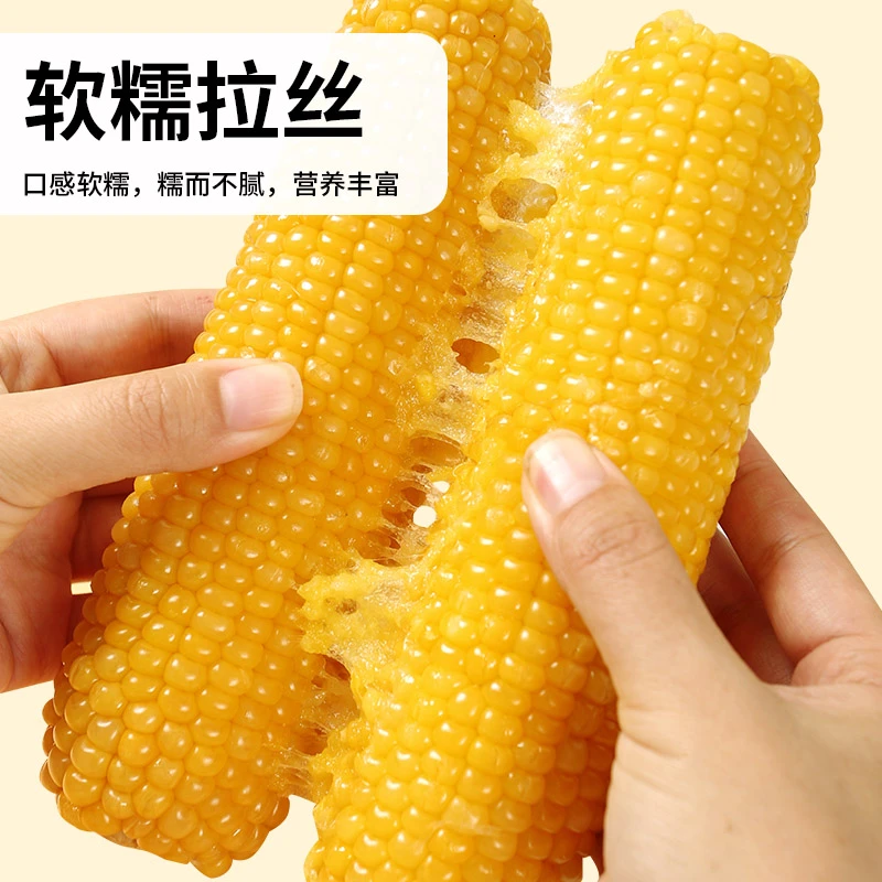 品种619透明东北黄糯玉米16cm*10只*250G黑龙江玉米