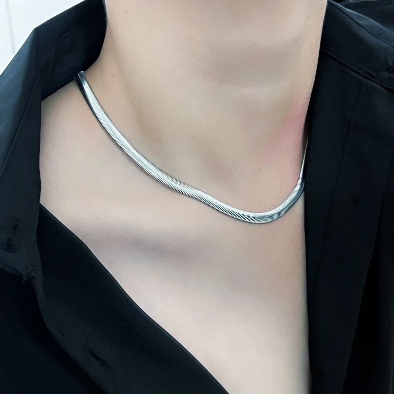 钛钢项链 男士时尚简约蛇骨链男生配饰冷淡风扁蛇锁骨链颈链子