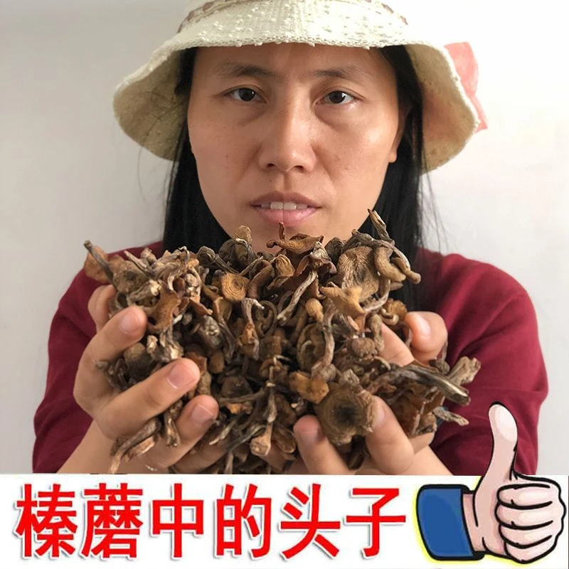 门稻2025新货东北特产好吃榛蘑小鸡炖蘑菇干货榛蘑猪肉炖粉条挑选