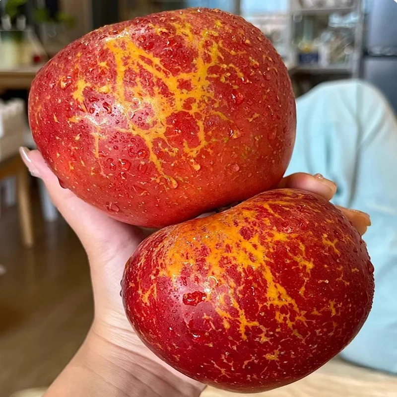 果农正宗当季冰糖心丑苹果脆甜多汁云南昭通昭通产地直发新鲜水果