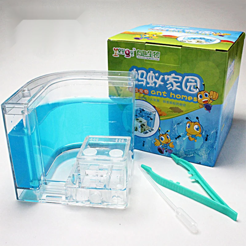 蚂蚁城堡大号蚂蚁干净盒蚂蚁生态箱蚁穴观察箱蚂蚁巢穴箱蚂蚁工坊