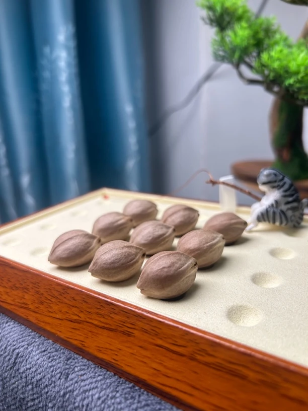 梅林铁核原生态素核尺寸1.7单颗价格，5颗起拍