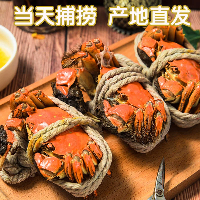 【到手8只-3两公2两母】新号福利活蟹苏州阳澄湖镇大闸蟹鲜活螃蟹公3.0两 母2.0两
