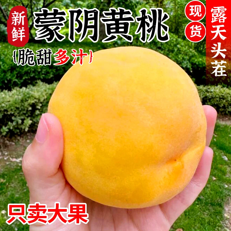 【锦绣黄桃】正宗山东蒙阴锦绣黄桃脆甜红心黄肉当季水果场地直发