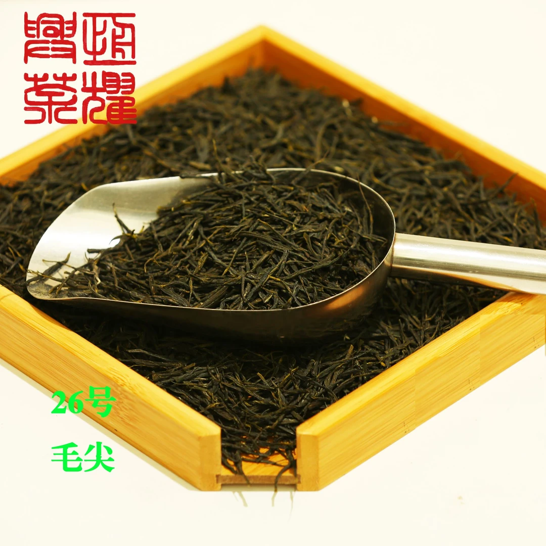 毛尖直条蒙顶山茶浓香耐泡源头工厂直销新茶MJ026高山茶叶