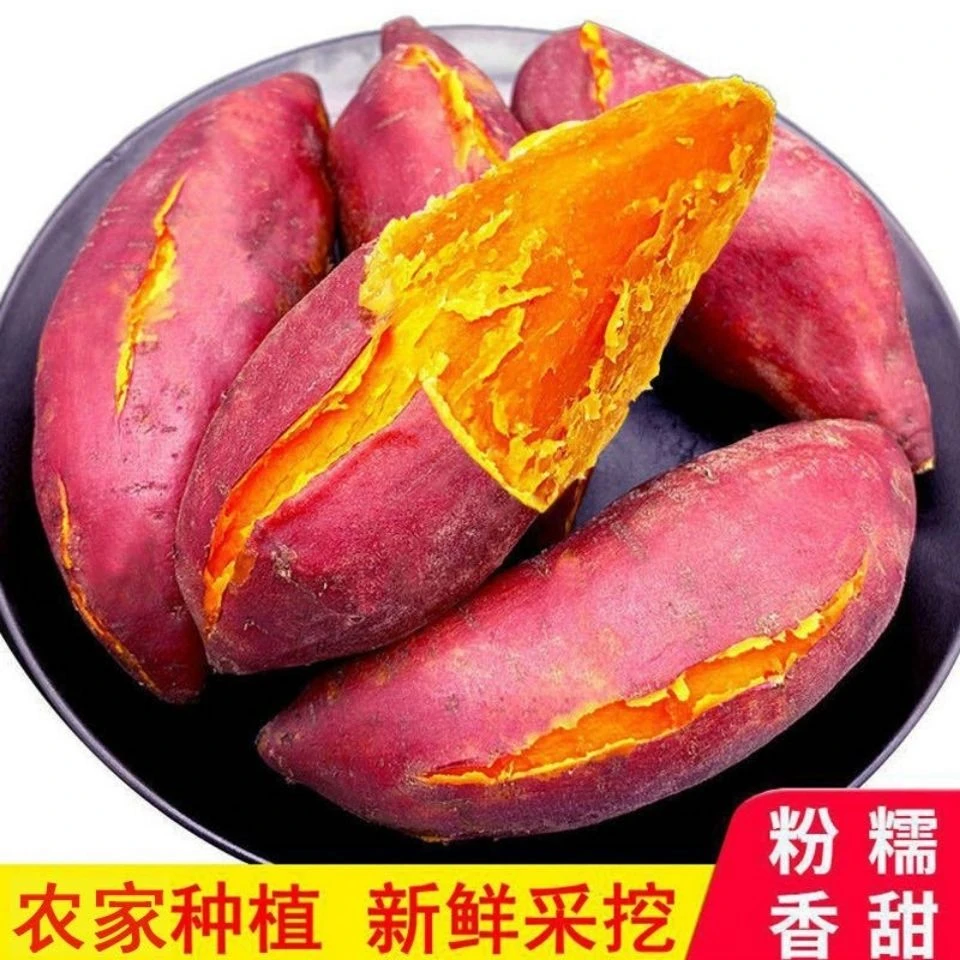 【现挖新鲜】广东湛江蜜薯西瓜红红心沙地番薯软糯香甜皮薄5斤/9斤U