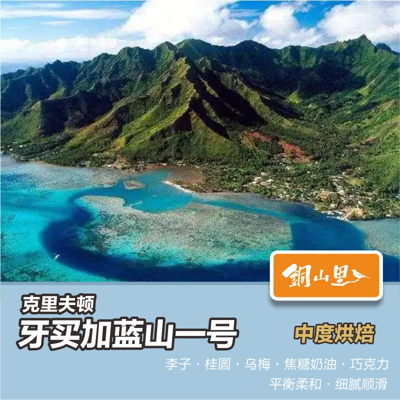【双11】铜山里 克里夫顿 牙买加蓝山一号咖啡豆醇厚纯黑手冲咖啡