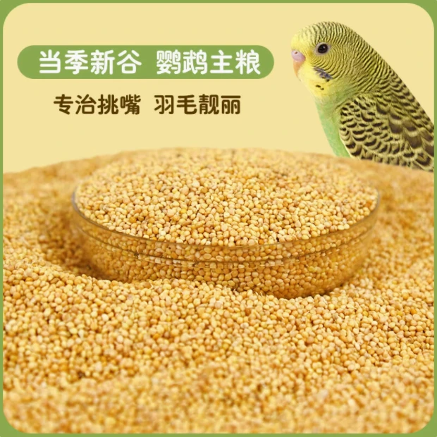 鹦鹉饲料鸟粮新黄谷子带壳小米粮食鹦鹉饲料玄凤牡丹专用食物粮食