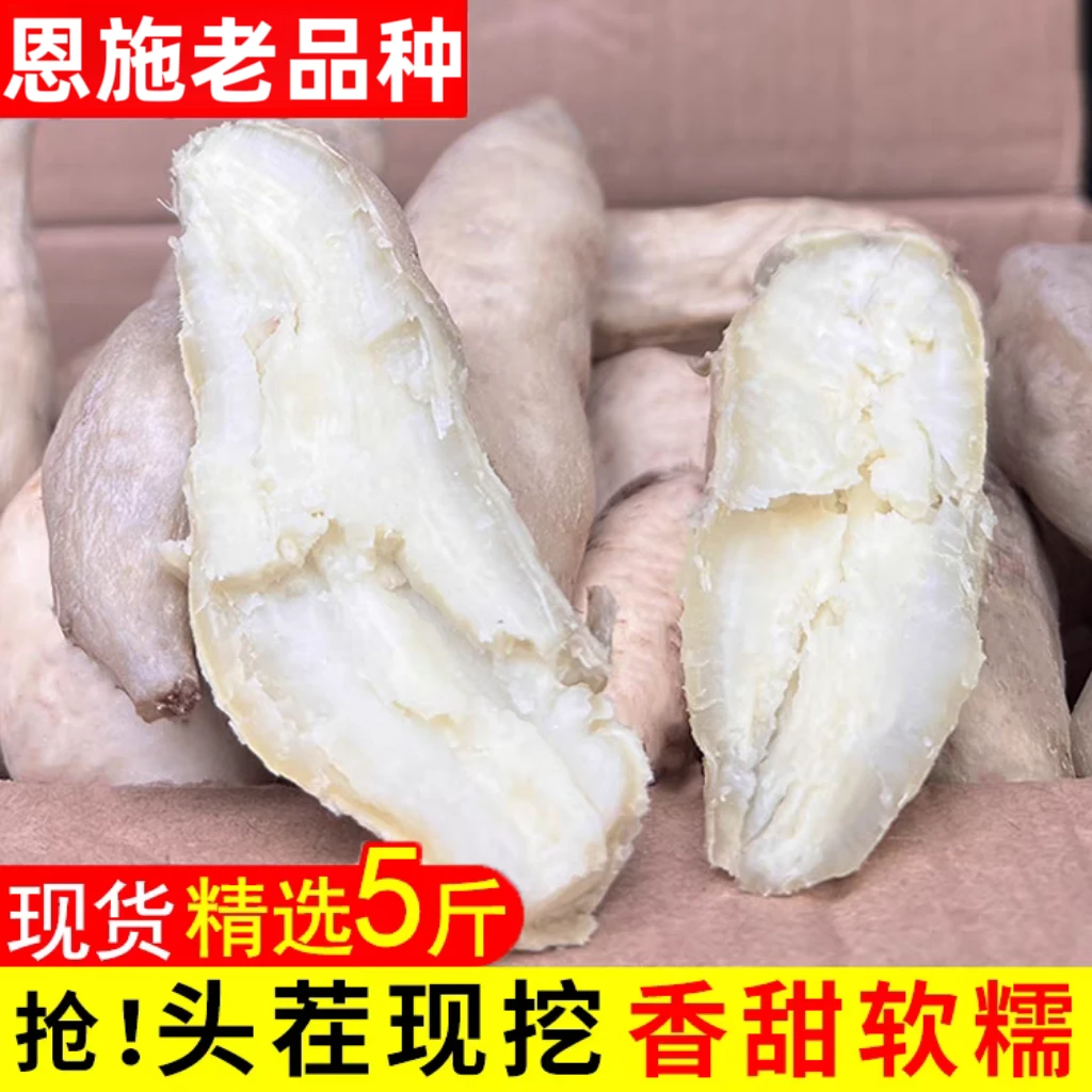 白芍新鲜现挖白皮牛奶人参薯牛奶白薯白心板栗薯地瓜山芋超粉番薯