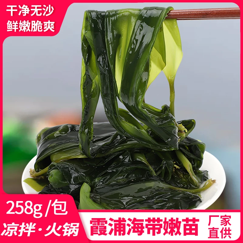 霞浦【258g盐渍海带苗】新鲜凉拌食材烫火锅【工厂直供】