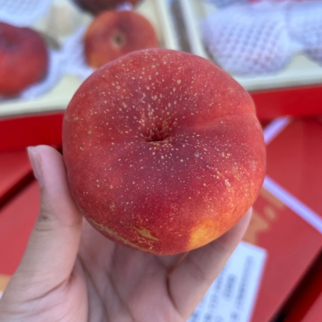 新疆桃太萌水果大叔新鲜水果桃子油蟠桃孕妇宝宝辅食