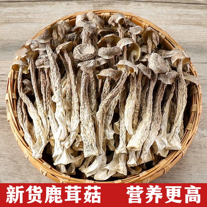 【新货上市】鹿茸菇干货干鹿茸菌菌菇【100克*5包】无硫新鲜煲汤