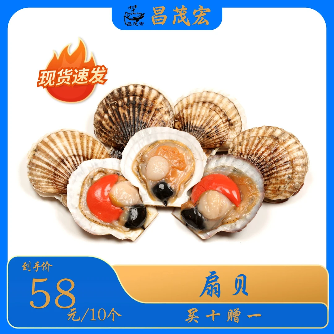 昌茂宏海鲜-扇贝（10个起卖，买十赠一）