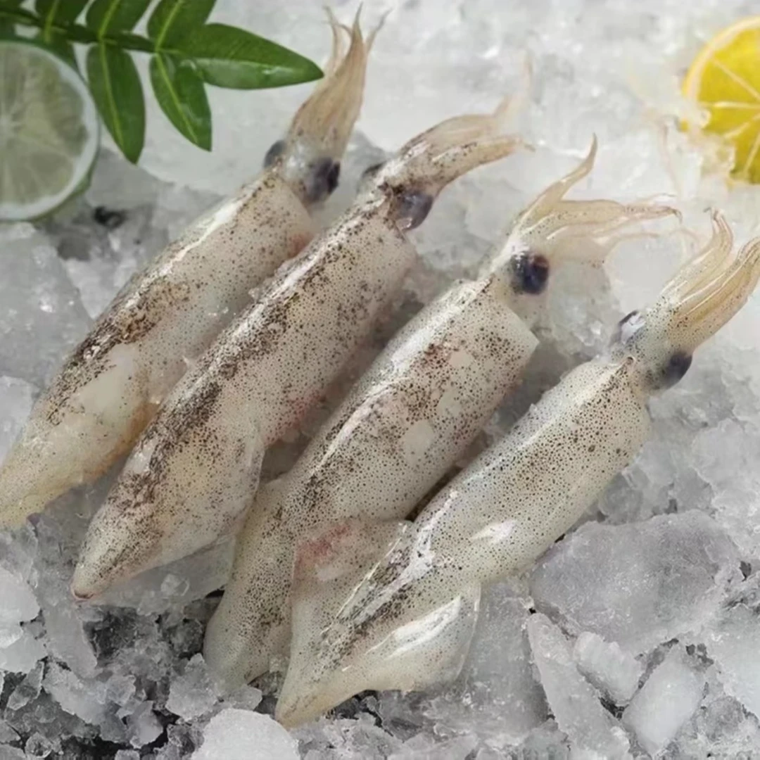 4斤新鲜速冻海兔子 到手4包/每包1斤[每包10只左右]