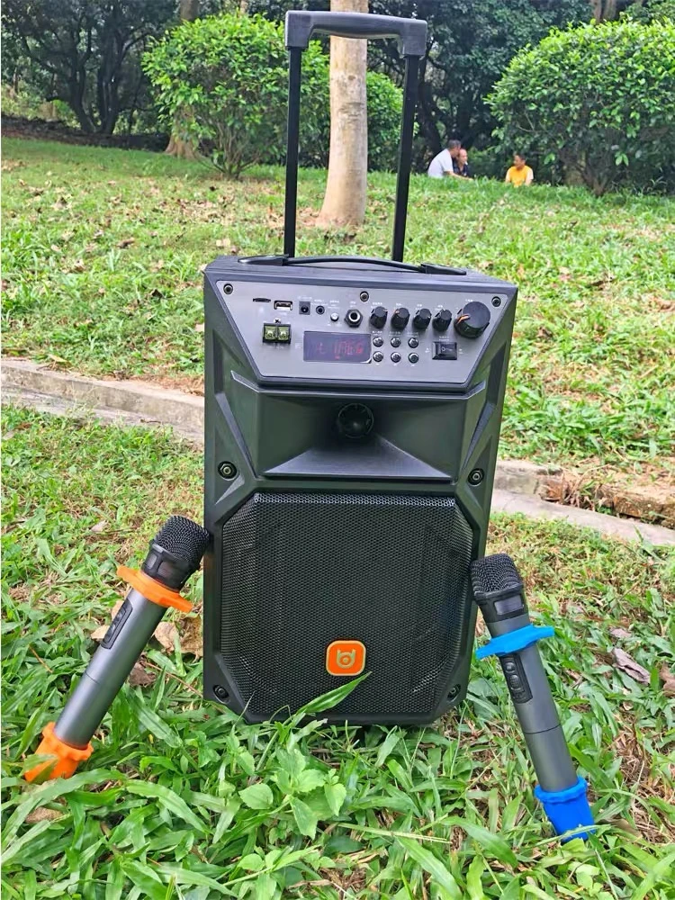 贝德雪豹系列 H0872-H1271多功能户外移动拉杆双麦蓝牙广场舞音响