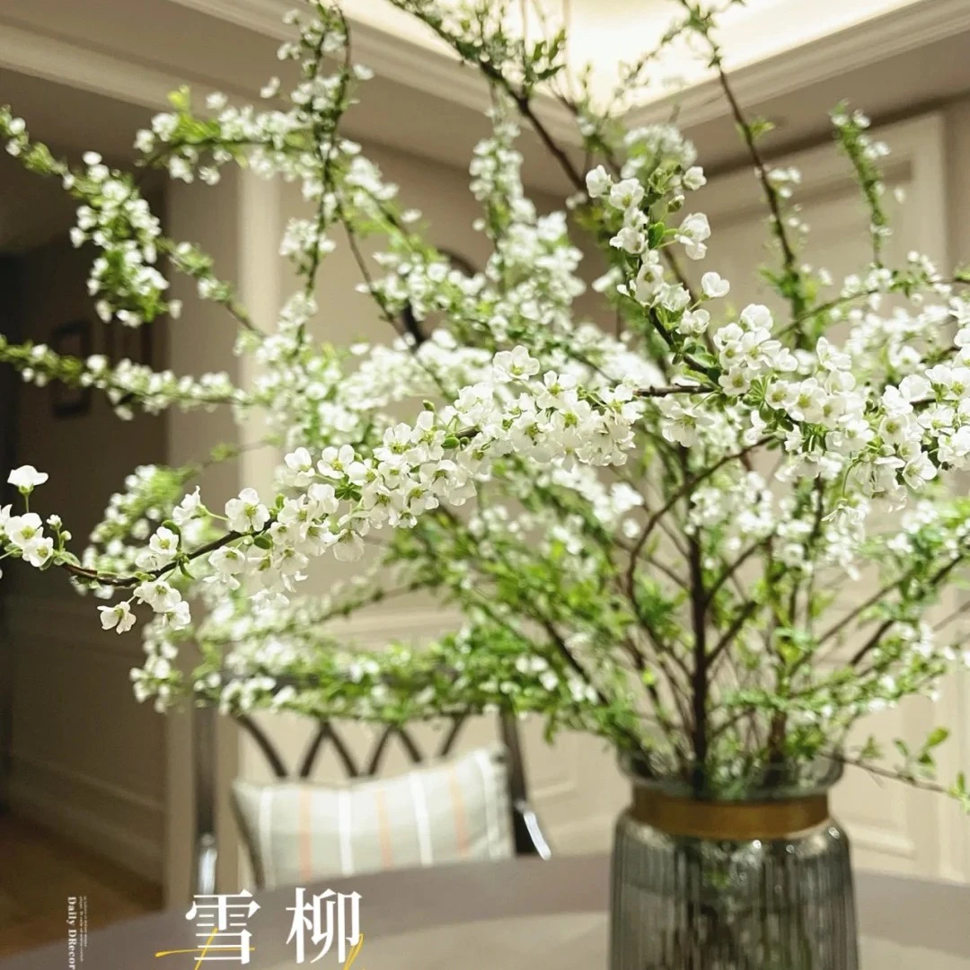 【鲜切雪柳干枝】优质喷雪花水培容易养活开花耐寒清香点缀办公室